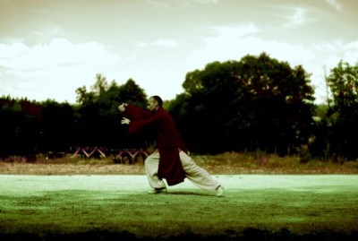 Tai Ji Quan - 13 forms